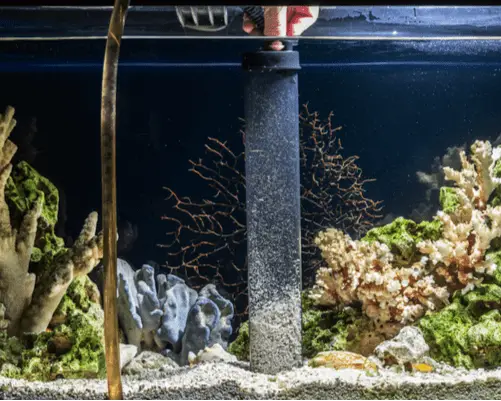 fish tank gravel vacuum