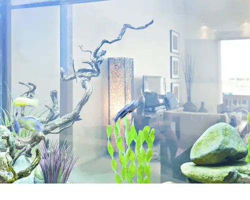 where to put a fish tank in a house