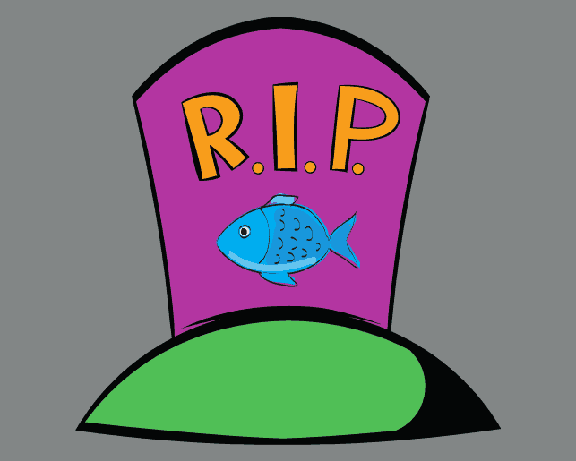 tropical fish death