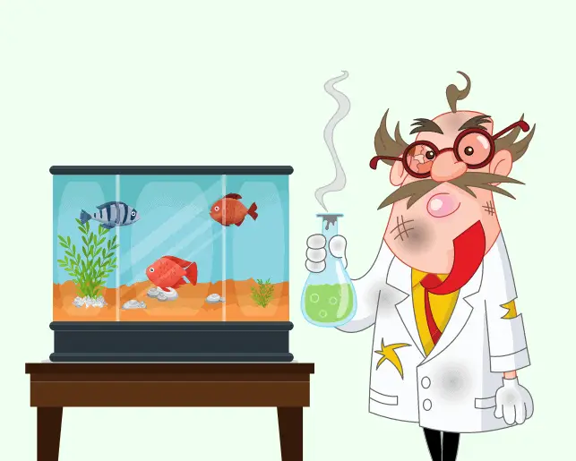 learn the science behind keeping tropical fish