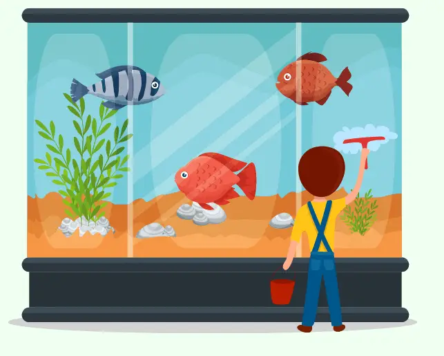 how to keep a fish tank clean without a water change