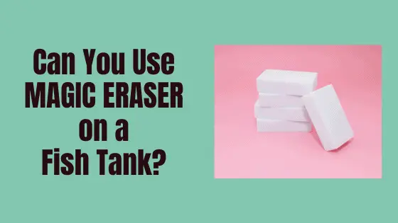 can you use magic eraser on a fish tank