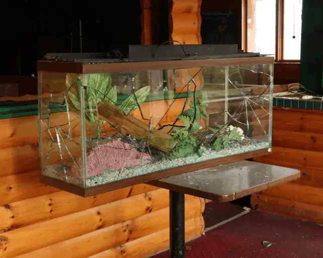 how-long-do-fish-tanks-last