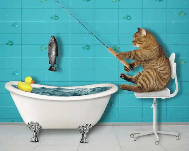 fish in the bath