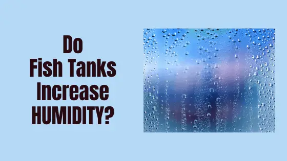 do fish tanks increase humidity?